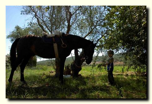horse and kids